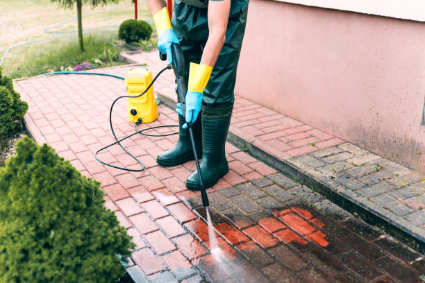 Best Animal Enclosure Cleaning  in Manchester, WA